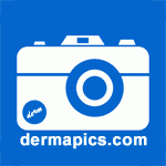 Dermapics.com